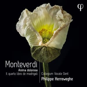 Monteverdi: Il quarto libro de madrigali - Claudio Monteverdi