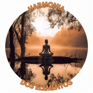 Harmonia dos Elementos. - Academia de Meditação Buddha