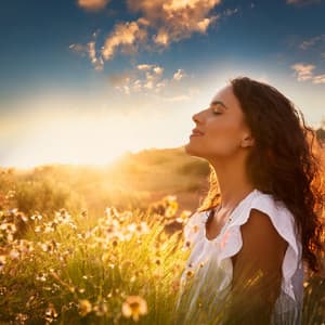 Lofi sounds Collide with the Quiet Echoes of Distant Memories - Relaxing Nature Sounds Collection