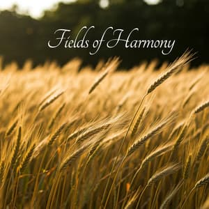 Fields of Harmony: Nature Sounds for Meditation - Nature Sounds Artists