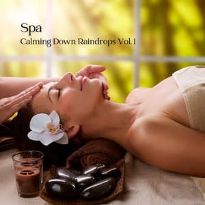 Spa: Calming Down Raindrops Vol. 1 - Study Focus Jazz Playlist