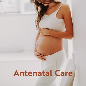 Antenatal Care: Music Created for The Well-Being and Relaxation of Pregnant Women - Pregnancy Relaxation Orchestra