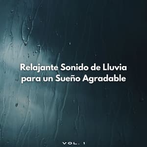 Relajante Sonido De Lluvia Para Un Sueño Agradable Vol. 1 - Lluvia para un sueño profundo