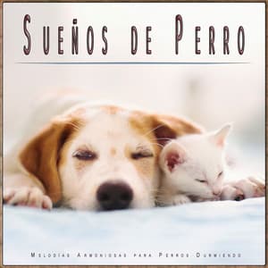 Sueños de Perro: Melodías Armoniosas para Perros Durmiendo - Música Para Perros