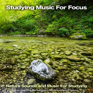 Studying Music For Focus: Nature Sounds and Music For Studying, Focus, Concentration, Study Music For Work, Office Music and Music For Relaxation - Concentration Music for Work