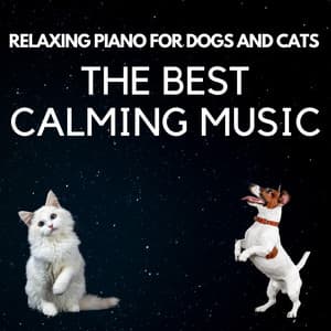 Relaxing Piano For Dogs and Cats The Best Calming Music - Relaxing Piano For Pets