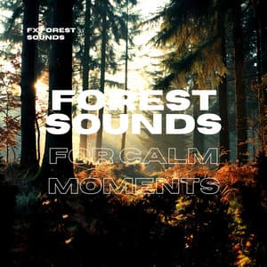 Forest Sounds for Calm Moments - FX Forest Sounds