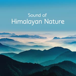 Sound of Himalayan Nature: Soothing Tones with Gentle Tibetan Buddhist Music - Meditation Sounds of the Tibet