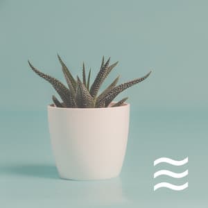 Soft Smooth Ocean And Sea Sounds for Calm and Relax - Ocean Sounds White Noise For Sleep