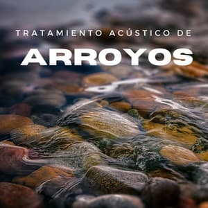 Tratamiento Acústico De Arroyos - Agua calmante