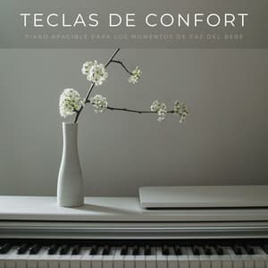 Teclas De Confort: Piano Apacible Para Los Momentos De Paz Del Bebé - Relajante Piano Jazz