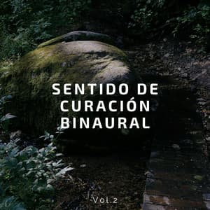 Sentido de curación binaural Vol.2 - Latidos Binaurales Puros