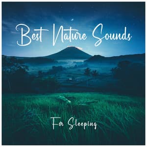 Best Nature Sounds for Sleeping - White Noise Baby Sleep