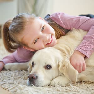 Pet Lofi Raindrops: Soothing Rain for Peaceful Companions - Rain Paris