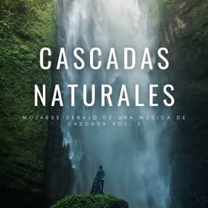 Cascadas Naturales: Mojarse Debajo De Una Música De Cascada Vol. 2 - Sonido del Agua Ruido Blanco Natural