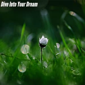 Dive Into Your Dream - Música Ambiental para Bares