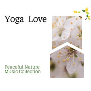 Yoga Love - Peaceful Nature Music Collection - Gold Spa Melodies
