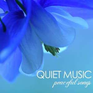 Quiet Music: Peaceful Songs for Relaxing Meditation - Quiet Music Academy