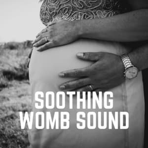Soothing Womb Sound - Womb Sound