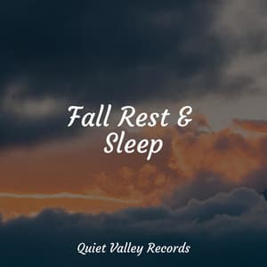 Fall Rest & Sleep - FX & Effects