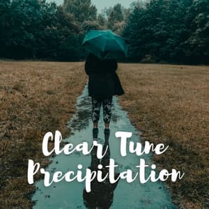 Clear Tune Precipitation - Sleepy Noise
