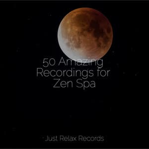 50 Amazing Recordings for Zen Spa - Meditation Relaxation Club