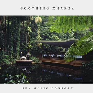 Soothing Chakra: Massage Ambiance - Spa Music Consort
