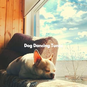 Dog Dancing Tunes - Music For Your Dog
