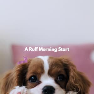 A Ruff Morning Start - Musica para Perros