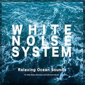 White Noise - Relaxing Ocean Waves - White Noise System
