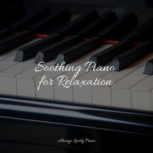 Piano for the Perfect Zone - Soothing Piano Collective