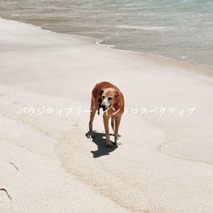 パウジティブリー・イントロスペクティブ - Elegante Música para Restaurantes