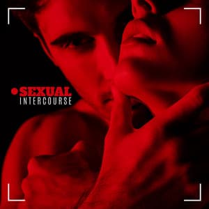 Sexual Intercourse: Background Music for Making Love and Sex - Love Romance Music Zone