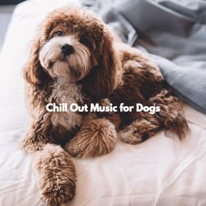 Chill Out Music for Dogs - Relaxing Dog Music Classics