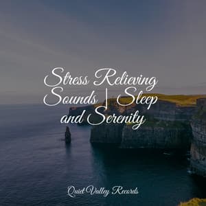 Stress Relieving Sounds | Sleep and Serenity - Tinnitus