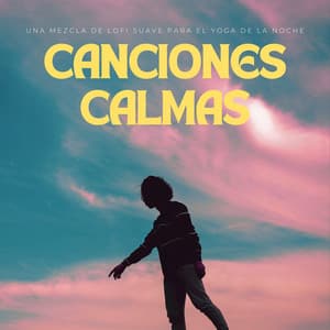 Canciones Calmas: Una Mezcla De Lofi Suave Para El Yoga De La Noche - Nación Lofi Hip Hop