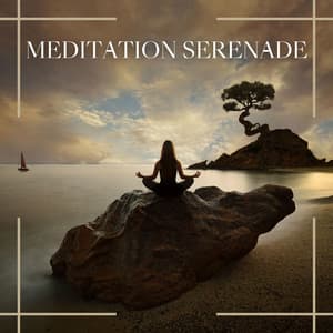 Meditation Serenade: The Ultimate Relaxing and Soothing Music to Help You Improve Your Concentration and Meditation Skills - James Inner