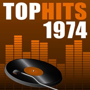 Top Hits 1974 - The Seventies