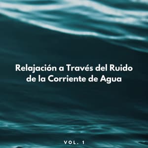 Relajación A Través Del Ruido De La Corriente De Agua Vol. 1 - Sonidos Relajantes de Naturaleza