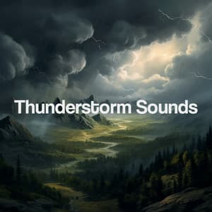 Thunderstorm Sounds - Thunderstorm Sound Bank