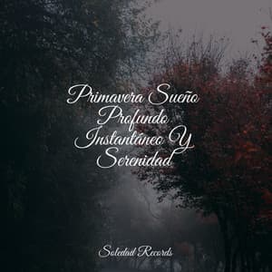 Primavera Sueño Profundo Instantáneo Y Serenidad - Natureza