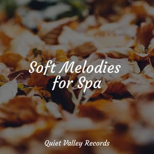 Soft Melodies for Spa - Massagem Coleção de Músicas