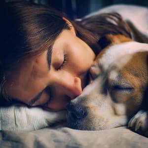 Armonías Caninas: Música De Guitarra Para Perros - Guitarra Tranquila