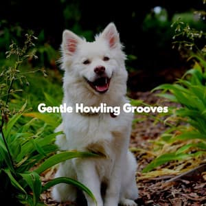 Gentle Howling Grooves - Musica para Perros
