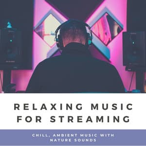 Relaxing Music for Streaming: Chill, Ambient Music with Nature Sounds - Concentrational Brain