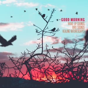 Good Morning - Wake Up Sounds. Bird Sounds, Healing Naturescapes, Japanese Traditional Asian Music - Natural Zen Meditation White Noise