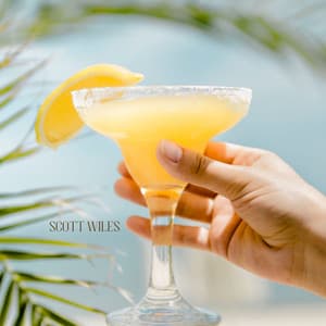 Feel Good Grooves & Brighten Your Sunny Moments - Scott Wiles