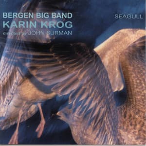 Seagull - Karin Krog