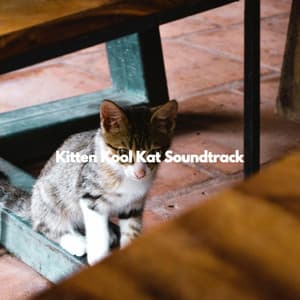 Kitten Kool Kat Soundtrack - Allegro Jazz Rilassante