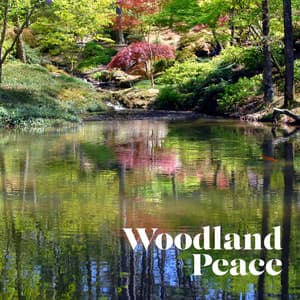 Woodland Peace - Peaceful Ambient